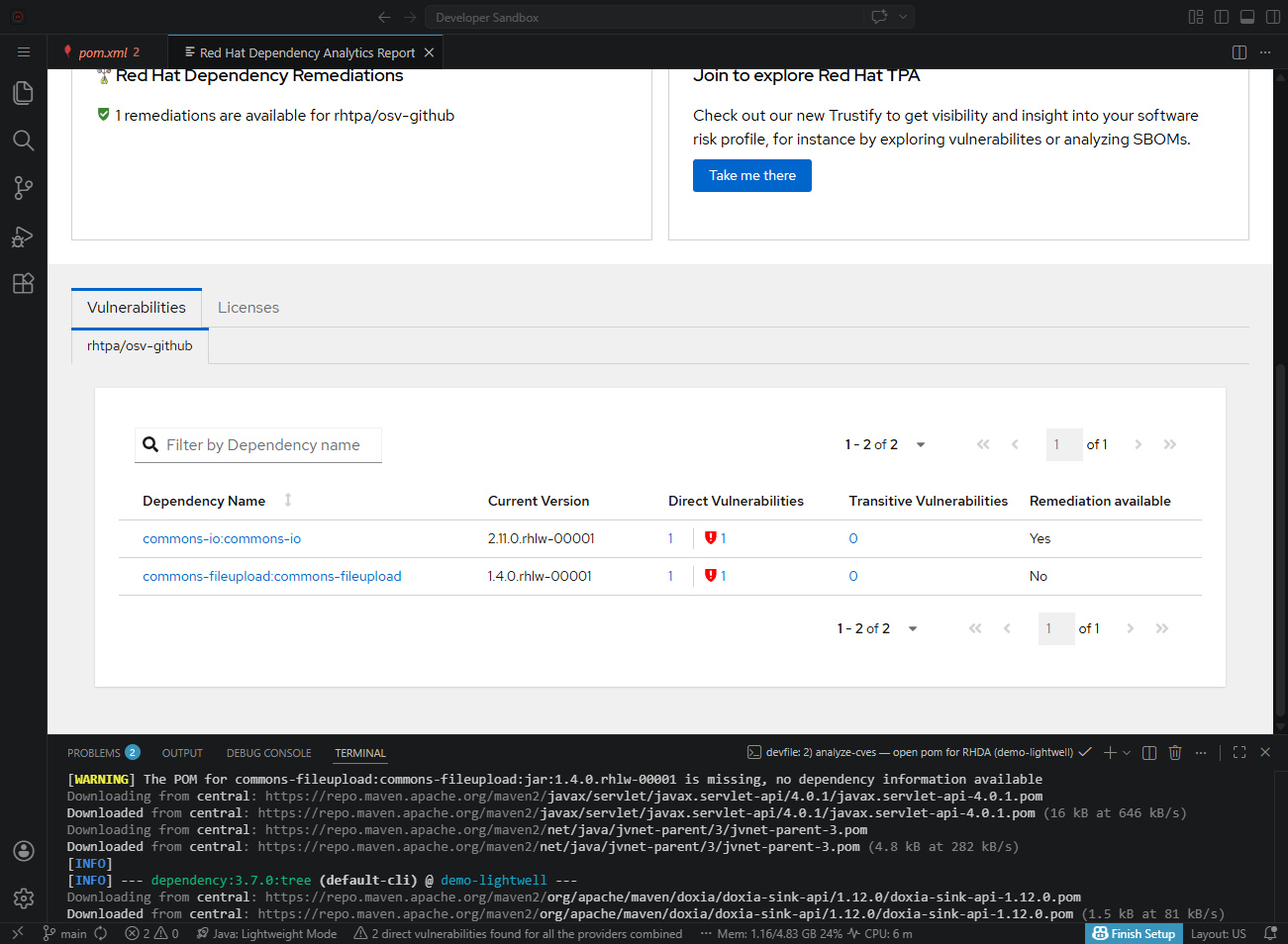 Full Red Hat Dependency Analytics Report in Dev Spaces