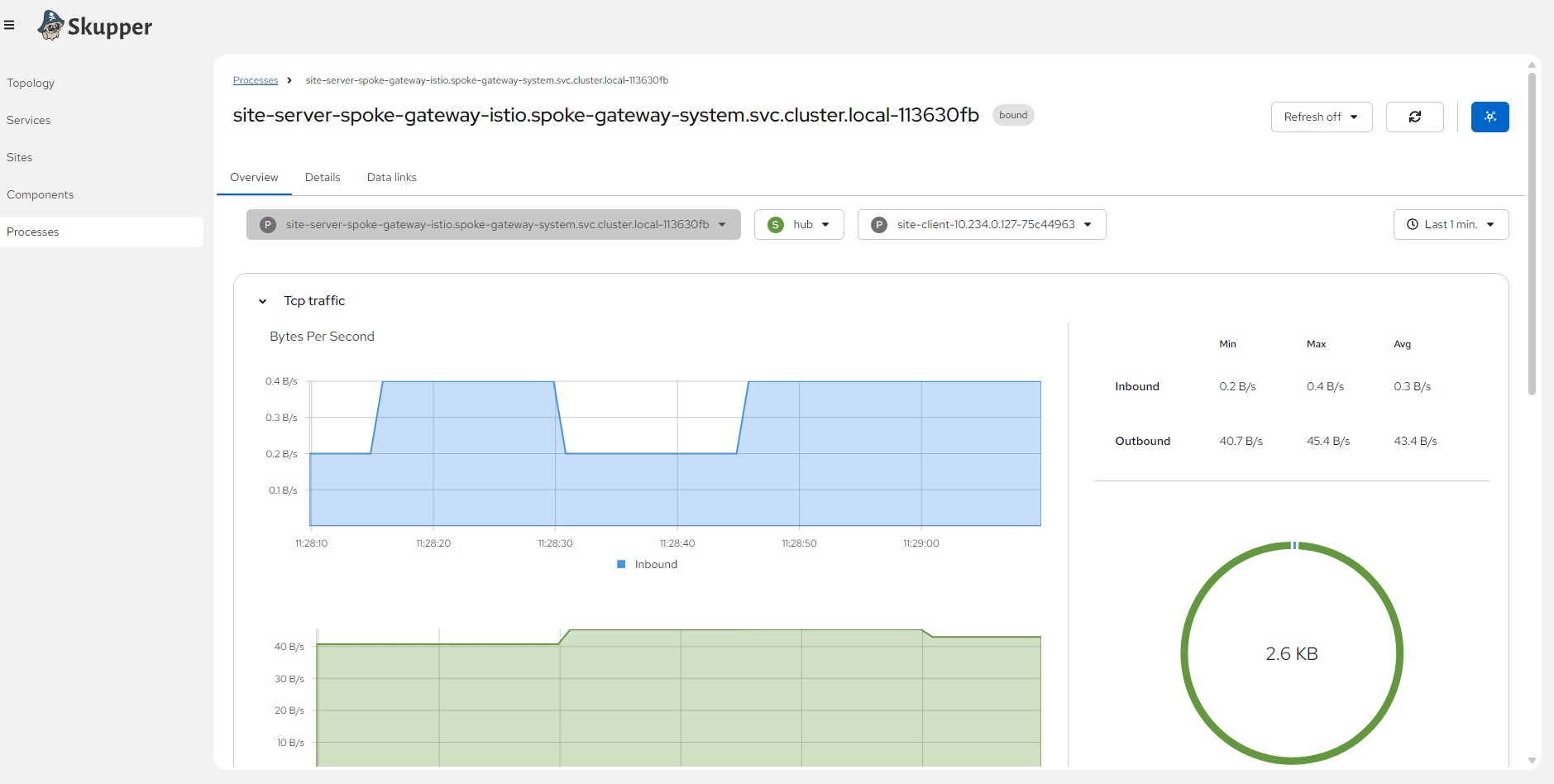 Skupper Network Console — Process detail