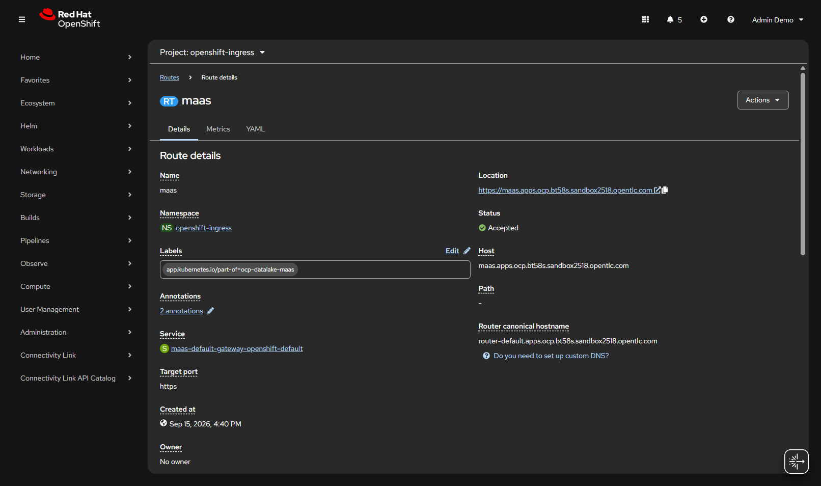 OpenShift Route maas in openshift-ingress Accepted passthrough