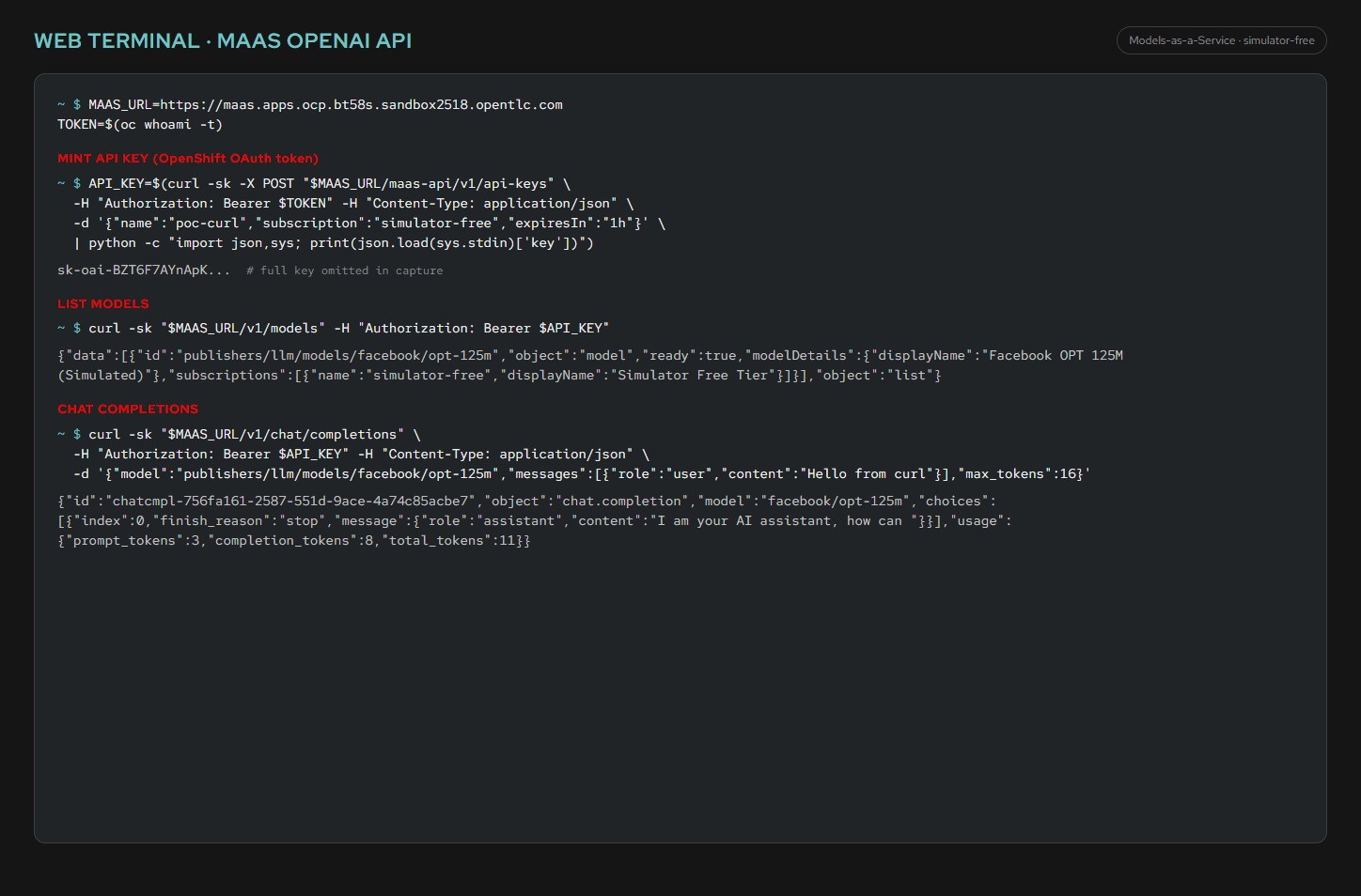 Web Terminal curl MaaS api-keys models and chat completions