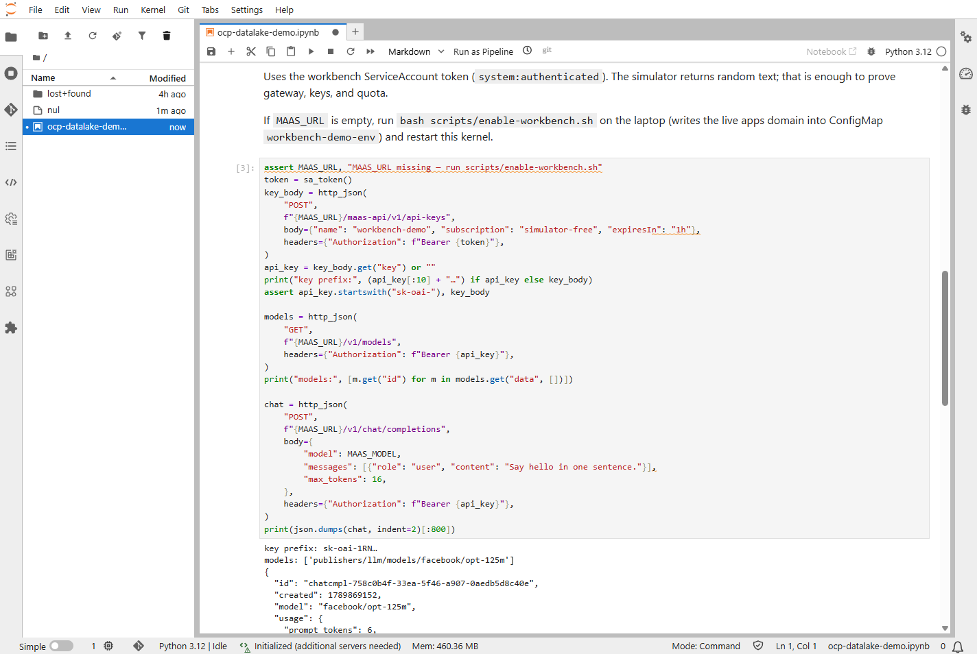 JupyterLab MaaS chat completions with key prefix and token usage