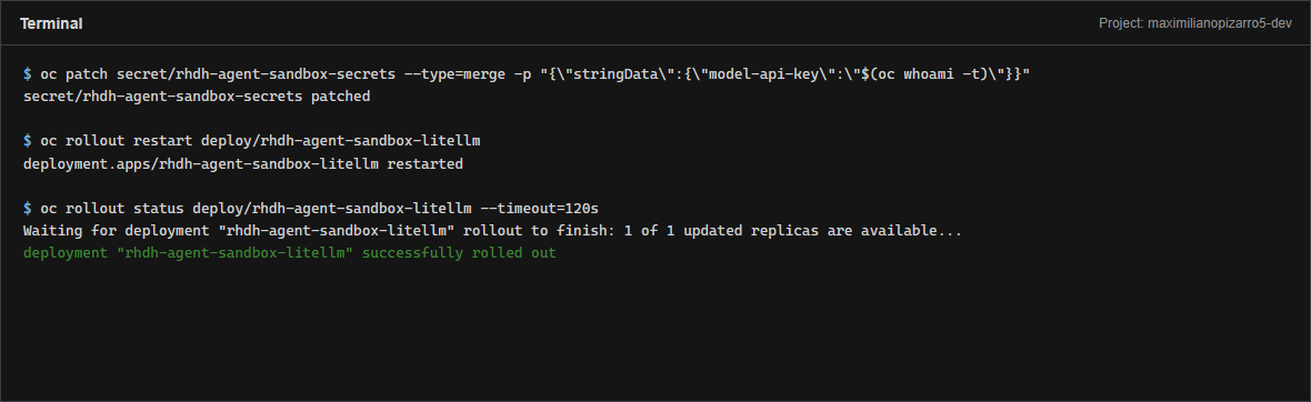Terminal patching model-api-key and restarting litellm