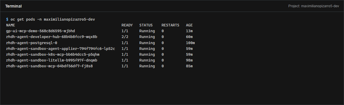 oc get pods showing all rhdh-agent workloads Running