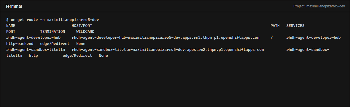 oc get route for developer-hub and litellm