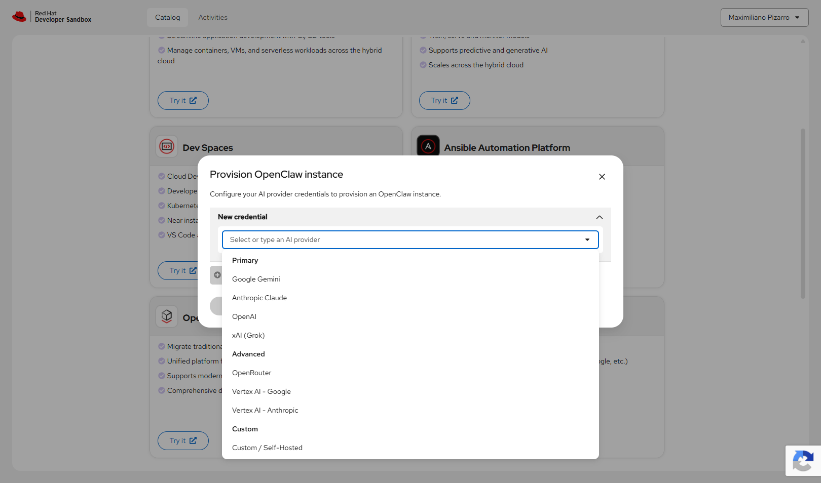 Dropdown showing Primary providers (Google Gemini, Anthropic Claude, OpenAI, xAI), Advanced (OpenRouter, Vertex AI), and Custom / Self-Hosted