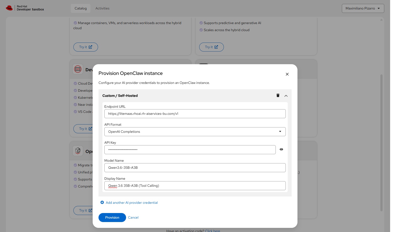 Completed provision form showing LiteMaaS endpoint URL, OpenAI Completions format, masked API key, Qwen3.6-35B-A3B model name, and display name