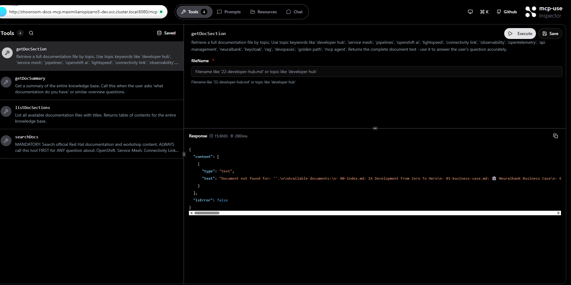 MCP Inspector - Query